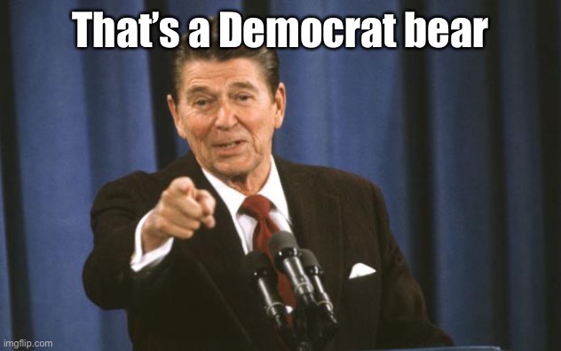 Ronald Reagan | That’s a Democrat bear | image tagged in ronald reagan | made w/ Imgflip meme maker