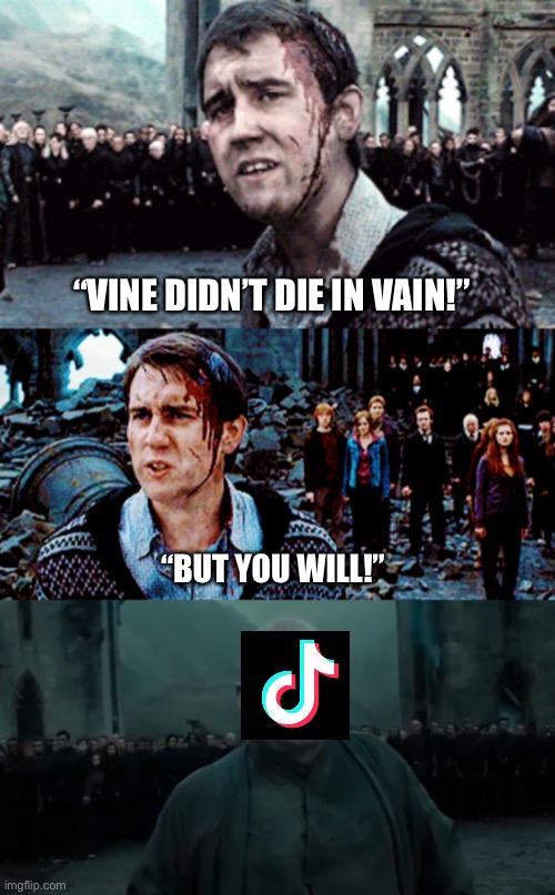 Neville’s speech on TikTok | “VINE DIDN’T DIE IN VAIN!”; “BUT YOU WILL!” | image tagged in anti tiktok,funny,memes,neville,harry potter,tiktok | made w/ Imgflip meme maker