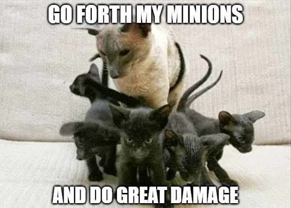 All cats want to rule the world | GO FORTH MY MINIONS; AND DO GREAT DAMAGE | image tagged in cats,minions,memes,funny,fun,cat memes | made w/ Imgflip meme maker
