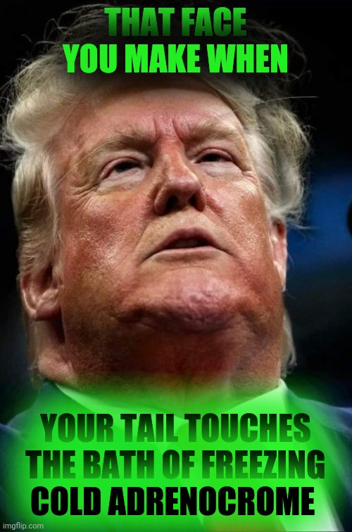 Prehensile protrusions | THAT FACE YOU MAKE WHEN; YOUR TAIL TOUCHES THE BATH OF FREEZING COLD ADRENOCROME | image tagged in donald trump,reptilians,tail,that face you make when,dump trump,inbred | made w/ Imgflip meme maker