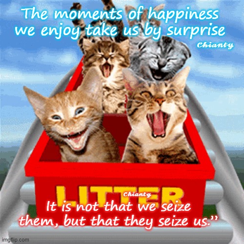 Moments | The moments of happiness we enjoy take us by surprise; 𝓒𝓱𝓲𝓪𝓷𝓽𝔂; It is not that we seize them, but that they seize us.”; 𝓒𝓱𝓲𝓪𝓷𝓽𝔂 | image tagged in surprise | made w/ Imgflip meme maker