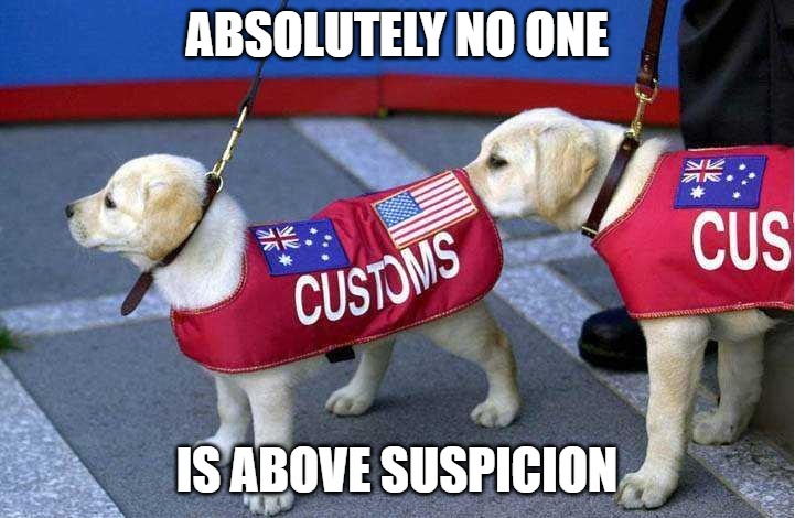 Never be too careful | ABSOLUTELY NO ONE; IS ABOVE SUSPICION | image tagged in dogs,memes,lol so funny,fun,funny,customs | made w/ Imgflip meme maker
