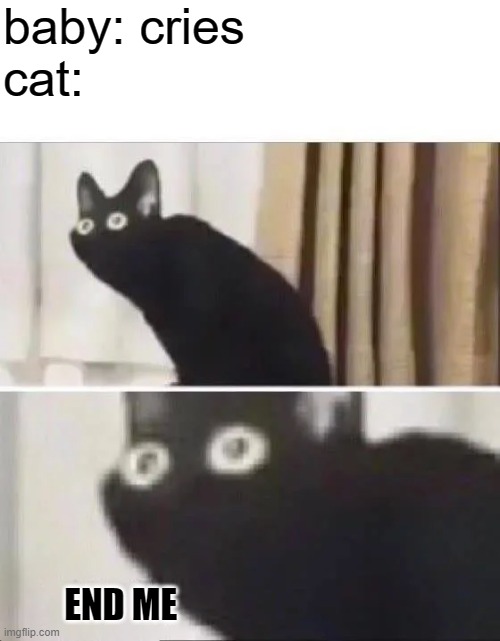 Oh No Black Cat | baby: cries 
cat:; END ME | image tagged in oh no black cat | made w/ Imgflip meme maker