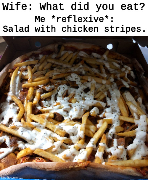 How political correctness looks to me | Me *reflexive*: Salad with chicken stripes. Wife: What did you eat? | image tagged in kebap fries | made w/ Imgflip meme maker