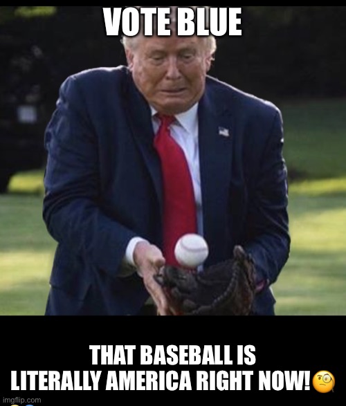 Too bad it didn’t hit his stupid face! | VOTE BLUE; THAT BASEBALL IS LITERALLY AMERICA RIGHT NOW!🧐 | image tagged in donald trump,vote blue,baseball,trump is a moron,con man,deplorable donald | made w/ Imgflip meme maker