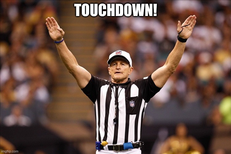 Logical Fallacy Referee NFL #85 | TOUCHDOWN! | image tagged in logical fallacy referee nfl 85 | made w/ Imgflip meme maker