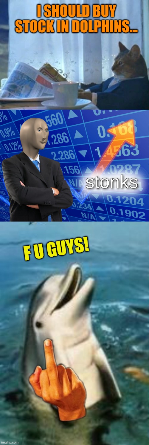 I SHOULD BUY STOCK IN DOLPHINS... F U GUYS! | image tagged in memes,i should buy a boat cat,stonks | made w/ Imgflip meme maker