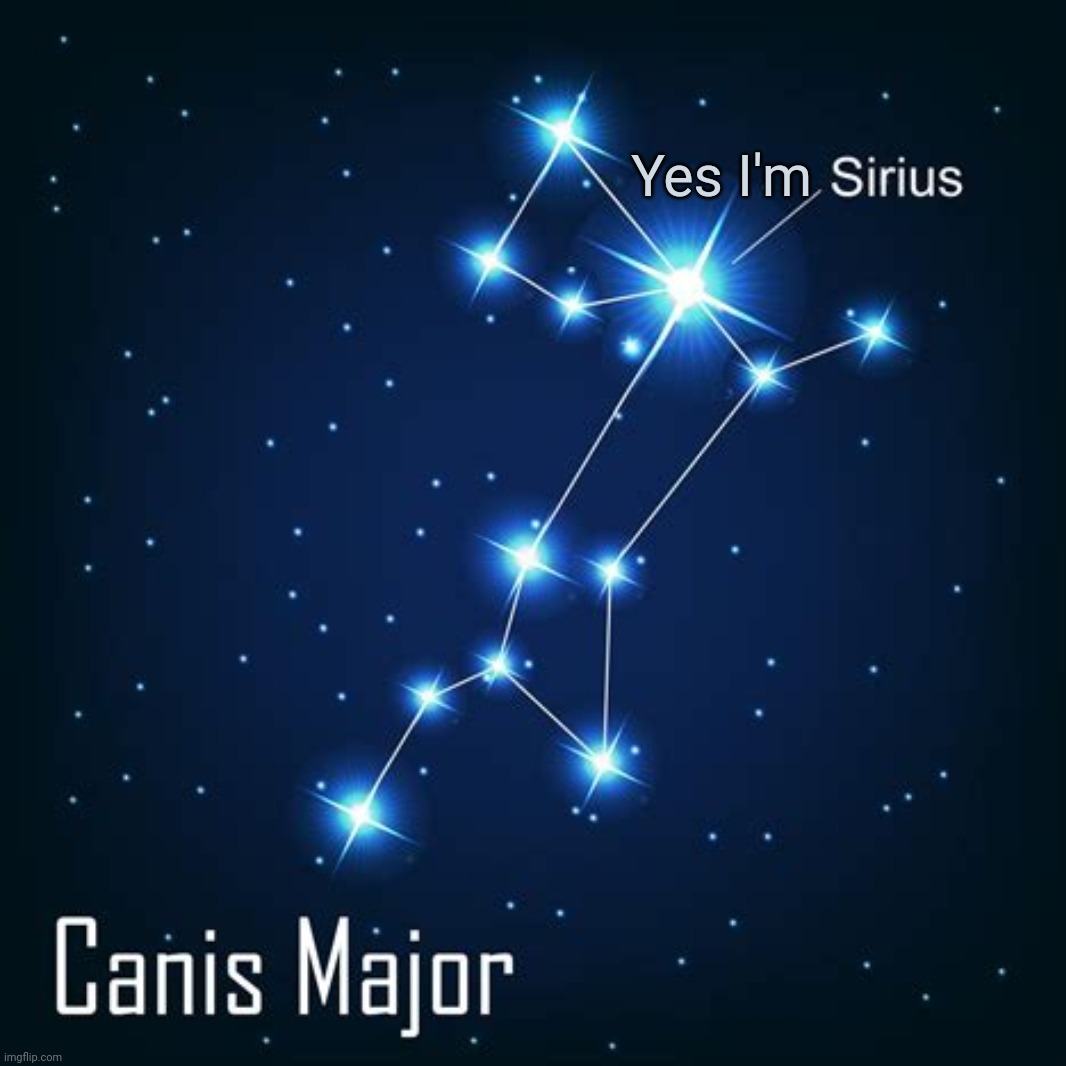 Are you serious cat? | Yes I'm | image tagged in sirius cat,serious,cat,im a star now mom,stars,night sky | made w/ Imgflip meme maker