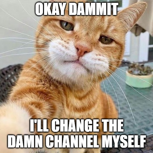 Where is the damn remote? | OKAY DAMMIT; I'LL CHANGE THE DAMN CHANNEL MYSELF | image tagged in cats,memes,shows they hate,funny,fun,2020 | made w/ Imgflip meme maker