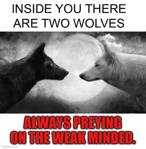 Inside you there are two wolves | ALWAYS PREYING ON THE WEAK MINDED. | image tagged in inside you there are two wolves | made w/ Imgflip meme maker