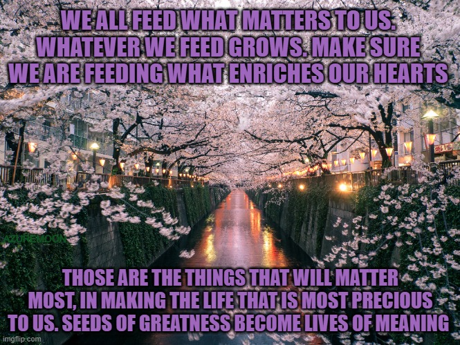HEARTFELT MATTERS | WE ALL FEED WHAT MATTERS TO US. WHATEVER WE FEED GROWS. MAKE SURE WE ARE FEEDING WHAT ENRICHES OUR HEARTS; AZUREMOON; THOSE ARE THE THINGS THAT WILL MATTER MOST, IN MAKING THE LIFE THAT IS MOST PRECIOUS TO US. SEEDS OF GREATNESS BECOME LIVES OF MEANING | image tagged in my heart,growth,inspirational,inspire the people | made w/ Imgflip meme maker
