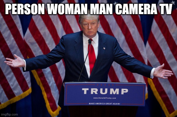 Donald Trump | PERSON WOMAN MAN CAMERA TV | image tagged in donald trump | made w/ Imgflip meme maker