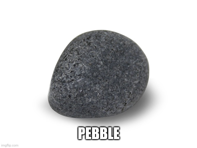 Pebble | PEBBLE | image tagged in funny,stupid | made w/ Imgflip meme maker