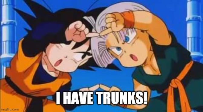 DBZ Goten Trunks Gotenks Fusion Dance | I HAVE TRUNKS! | image tagged in dbz goten trunks gotenks fusion dance | made w/ Imgflip meme maker