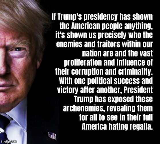 It goes without saying | image tagged in trump,trump 2020,political,politics | made w/ Imgflip meme maker