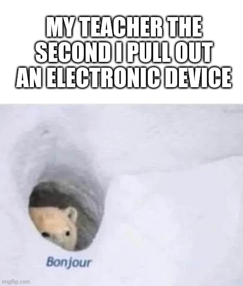 Bonjour | MY TEACHER THE SECOND I PULL OUT AN ELECTRONIC DEVICE | image tagged in bonjour,school | made w/ Imgflip meme maker
