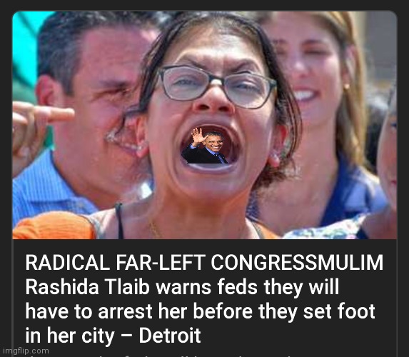 Tlaib | image tagged in tlaib | made w/ Imgflip meme maker