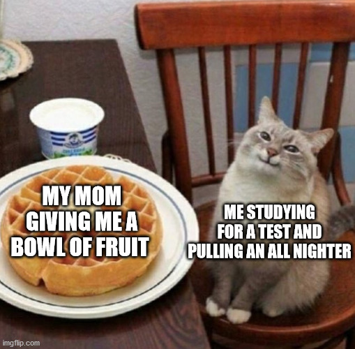 wholesome moms | MY MOM GIVING ME A BOWL OF FRUIT; ME STUDYING FOR A TEST AND PULLING AN ALL NIGHTER | image tagged in cat likes their waffle | made w/ Imgflip meme maker