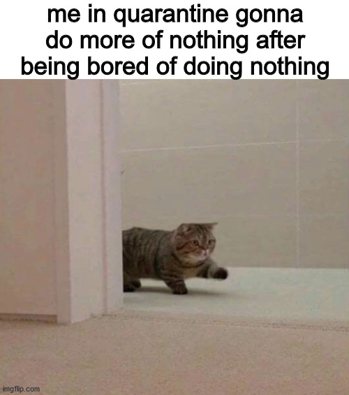 it do be like that doe | me in quarantine gonna do more of nothing after being bored of doing nothing | image tagged in chonker | made w/ Imgflip meme maker