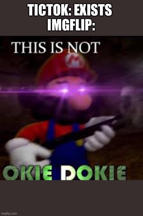 This is not okie dokie | TICTOK: EXISTS 
IMGFLIP: | image tagged in this is not okie dokie | made w/ Imgflip meme maker