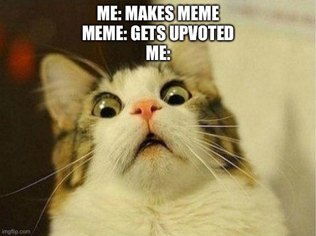 Scared Cat Meme | ME: MAKES MEME
MEME: GETS UPVOTED
ME: | image tagged in memes,scared cat | made w/ Imgflip meme maker