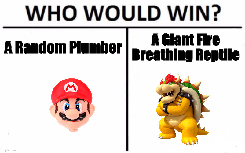 Mayro VS Bayzir | A Random Plumber; A Giant Fire Breathing Reptile | image tagged in memes,who would win | made w/ Imgflip meme maker
