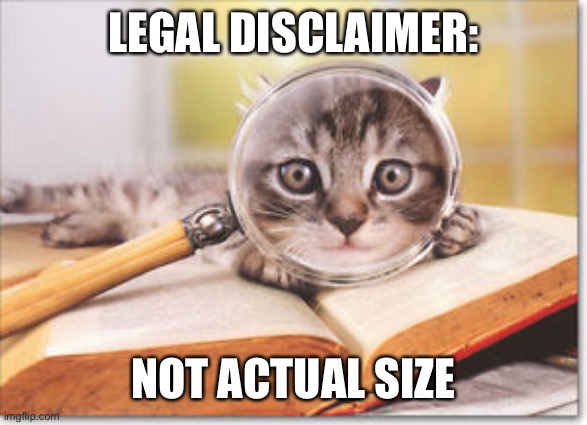 cat magnifying glass | LEGAL DISCLAIMER: NOT ACTUAL SIZE | image tagged in cat magnifying glass | made w/ Imgflip meme maker