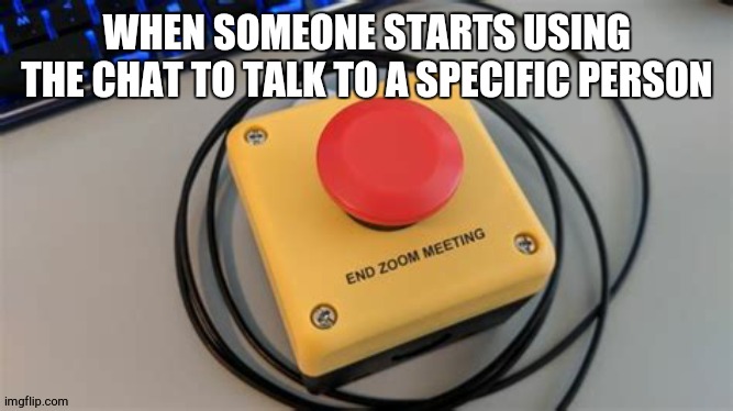 End Zoom Meeting | WHEN SOMEONE STARTS USING THE CHAT TO TALK TO A SPECIFIC PERSON | image tagged in end zoom meeting,memes | made w/ Imgflip meme maker