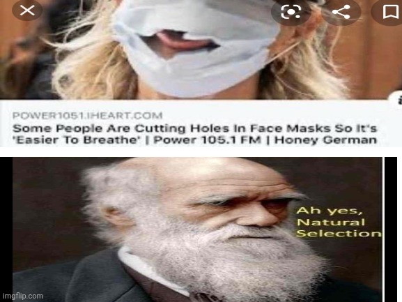Ah yes, natural selection | image tagged in natural selection | made w/ Imgflip meme maker