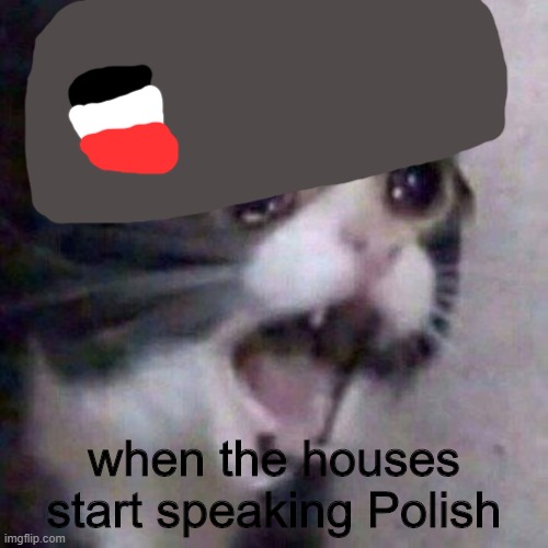 Screaming German meme | when the houses start speaking Polish | image tagged in screaming cat meme | made w/ Imgflip meme maker