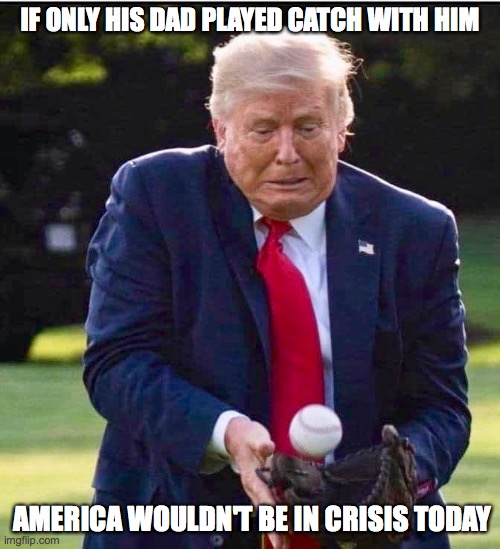 IF ONLY HIS DAD PLAYED CATCH WITH HIM; AMERICA WOULDN'T BE IN CRISIS TODAY | image tagged in donald trump | made w/ Imgflip meme maker