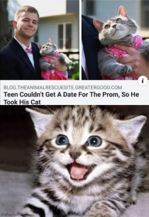 UwU | image tagged in happy cat,memes,cats | made w/ Imgflip meme maker