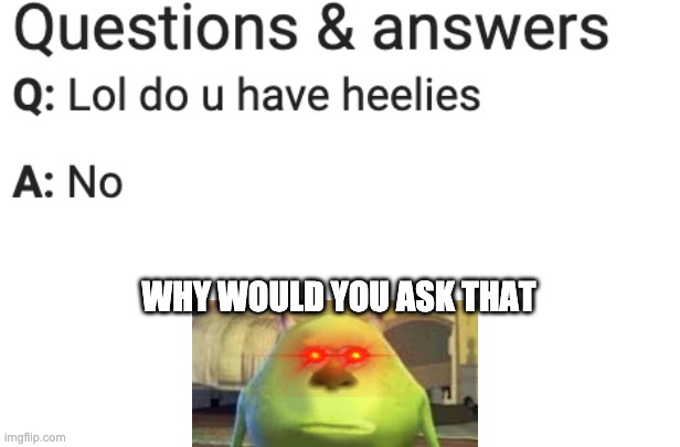 A meme | WHY WOULD YOU ASK THAT | image tagged in lol,memes | made w/ Imgflip meme maker