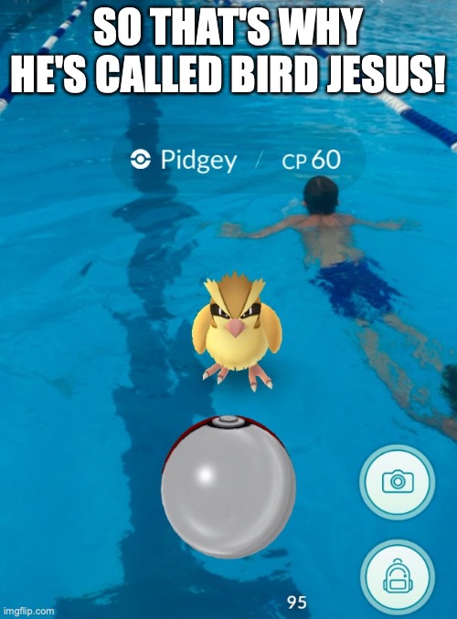 Pokemon Go  | SO THAT'S WHY HE'S CALLED BIRD JESUS! | image tagged in pokemon go,bird,jesus,pokemon | made w/ Imgflip meme maker