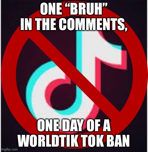 Comment = happiness | ONE “BRUH” IN THE COMMENTS, ONE DAY OF A WORLDWIDE TIK TOK BAN | image tagged in memes,funny,comment,begging,tik tok,ban | made w/ Imgflip meme maker