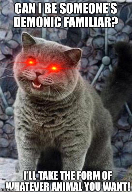 I can has cheezburger cat | CAN I BE SOMEONE’S DEMONIC FAMILIAR? I’LL TAKE THE FORM OF WHATEVER ANIMAL YOU WANT! | image tagged in i can has cheezburger cat | made w/ Imgflip meme maker