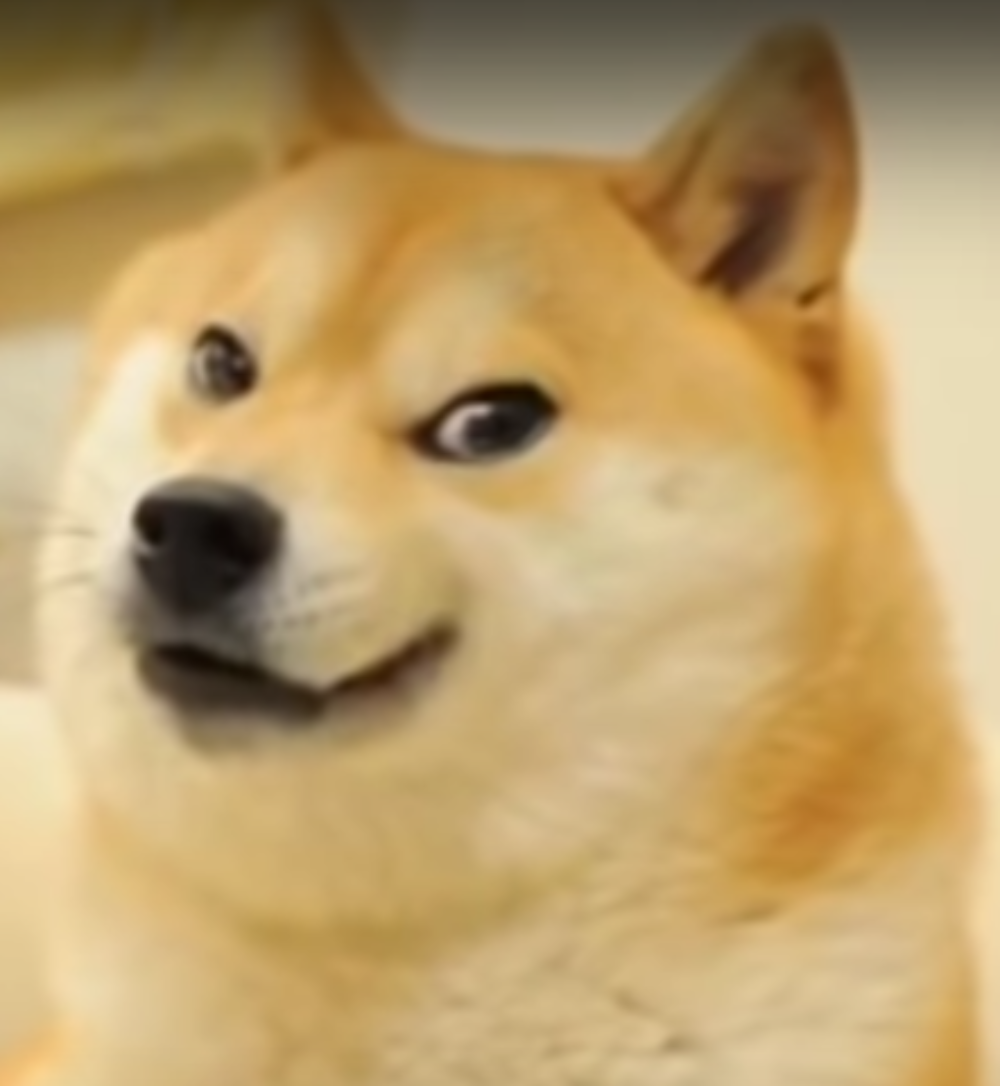 High Quality Doge is Quang Tran Blank Meme Template
