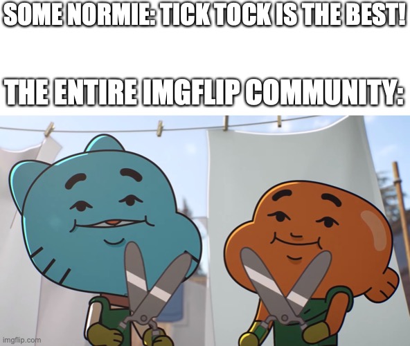 It is now time for you to die. | SOME NORMIE: TICK TOCK IS THE BEST! THE ENTIRE IMGFLIP COMMUNITY: | image tagged in you die now,memes | made w/ Imgflip meme maker