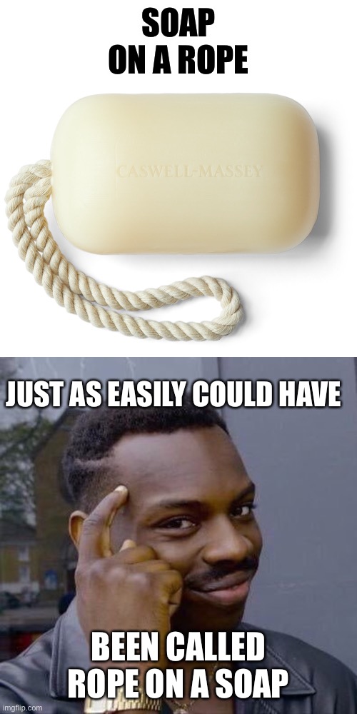 Meaningless Cleanliness | SOAP ON A ROPE; JUST AS EASILY COULD HAVE; BEEN CALLED ROPE ON A SOAP | image tagged in soap on a rope | made w/ Imgflip meme maker