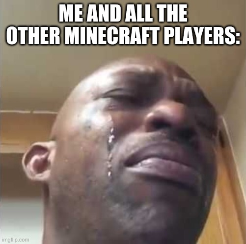Crying guy meme | ME AND ALL THE OTHER MINECRAFT PLAYERS: | image tagged in crying guy meme | made w/ Imgflip meme maker