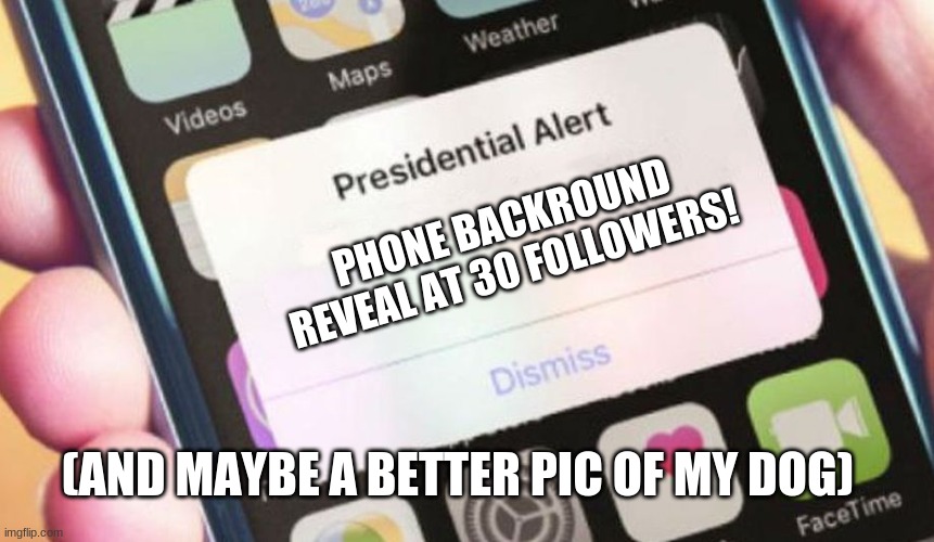 may include heavy elements of theater ad musicals | PHONE BACKGROUND REVEAL AT 30 FOLLOWERS! (AND MAYBE A BETTER PIC OF MY DOG) | image tagged in memes,presidential alert,lol | made w/ Imgflip meme maker