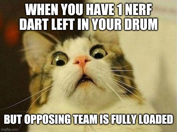 Scared Cat Meme | WHEN YOU HAVE 1 NERF DART LEFT IN YOUR DRUM; BUT OPPOSING TEAM IS FULLY LOADED | image tagged in memes,scared cat | made w/ Imgflip meme maker
