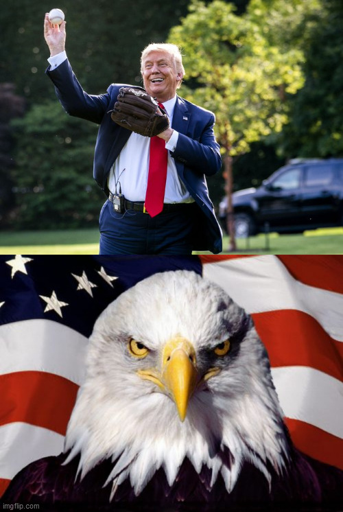 image tagged in memes,patriotic eagle,trump | made w/ Imgflip meme maker
