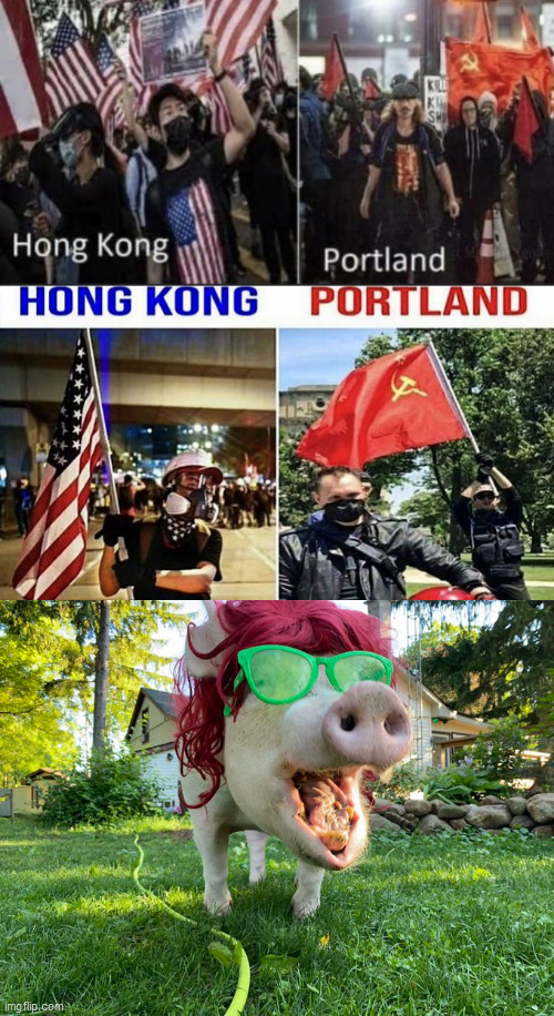 image tagged in usa | made w/ Imgflip meme maker