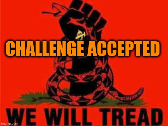 Bring it boys.   Bring it. | CHALLENGE ACCEPTED | image tagged in gadsden flag,revolution,politics,civil war | made w/ Imgflip meme maker