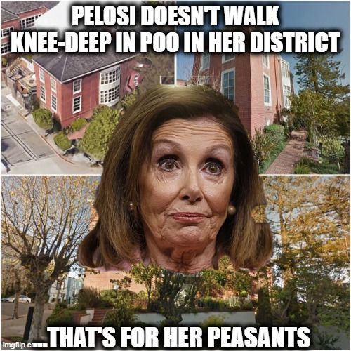 PELOSI DOESN'T WALK KNEE-DEEP IN POO IN HER DISTRICT ...THAT'S FOR HER PEASANTS | made w/ Imgflip meme maker