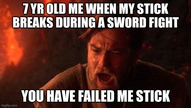 You Were The Chosen One (Star Wars) Meme | 7 YR OLD ME WHEN MY STICK BREAKS DURING A SWORD FIGHT; YOU HAVE FAILED ME STICK | image tagged in memes,you were the chosen one star wars | made w/ Imgflip meme maker