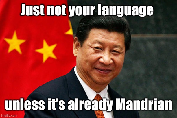 Xi Jinping | Just not your language unless it’s already Mandrian | image tagged in xi jinping | made w/ Imgflip meme maker