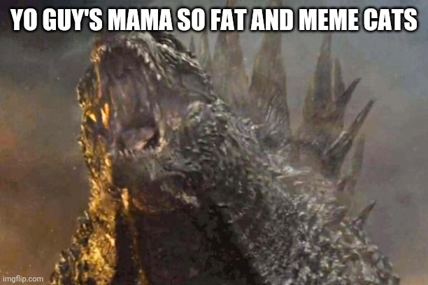 Godzilla 2014 come at me bro | YO GUY'S MAMA SO FAT AND MEME CATS | image tagged in godzilla 2014 come at me bro | made w/ Imgflip meme maker