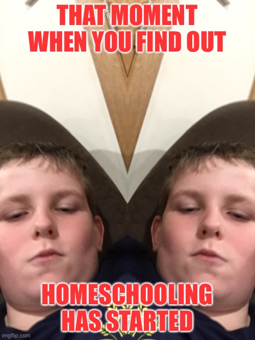 Me@home | THAT MOMENT WHEN YOU FIND OUT; HOMESCHOOLING HAS STARTED | image tagged in upload | made w/ Imgflip meme maker